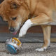 Pet Zone IQ Treat Ball | $6 | Amazon